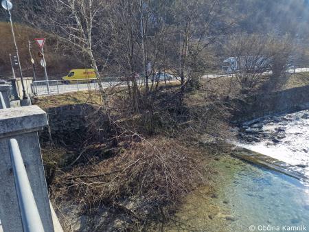 Odstranitev podrtega in poškodovanega drevja iz Nevljice in sotočja Kamniške Bistrice (2)